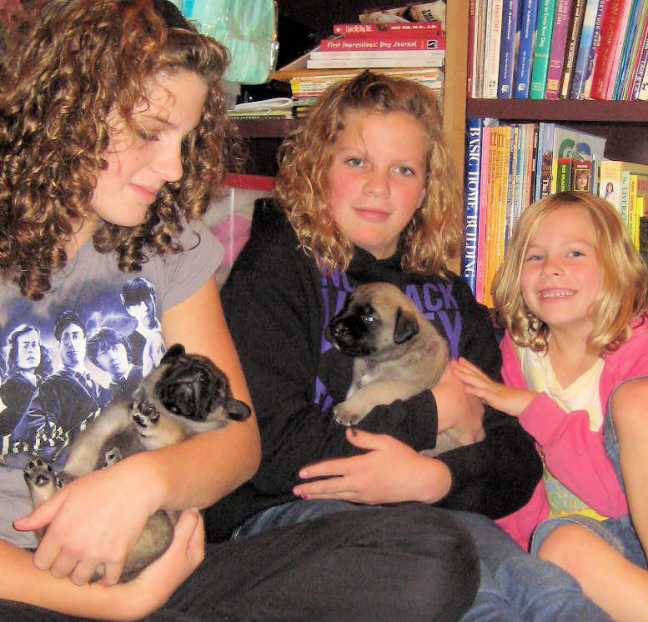 Breanna, Megan and Jenna (Compton girls) with the Mastiff puppies