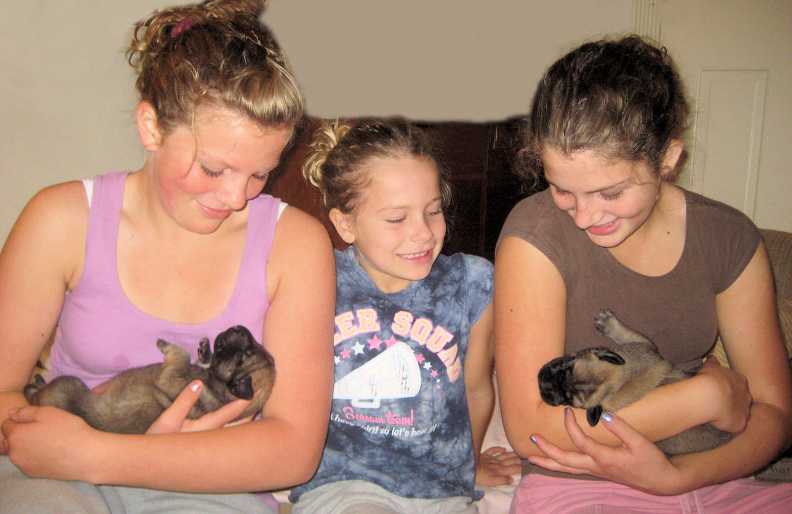 Megan, Jenna and Breanna (Compton girls) with new Mastiff Puppies
