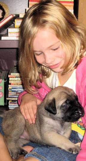 Jenna Compton with a mastiff puppy